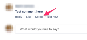 snippet_delete_comment.png