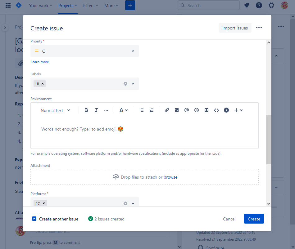 create issue (2).png