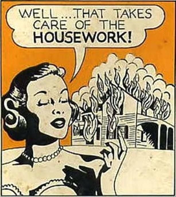 house-cleaner-meme-house-cleaning-memes-amazing-pictures-2-burn-your-house-down-funny-pictures-house-cleaning-memes.jpg