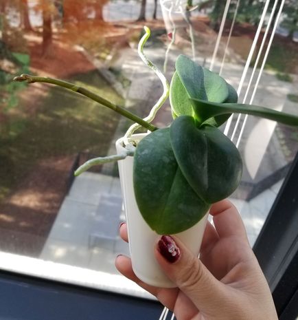 20181210_115001.jpg