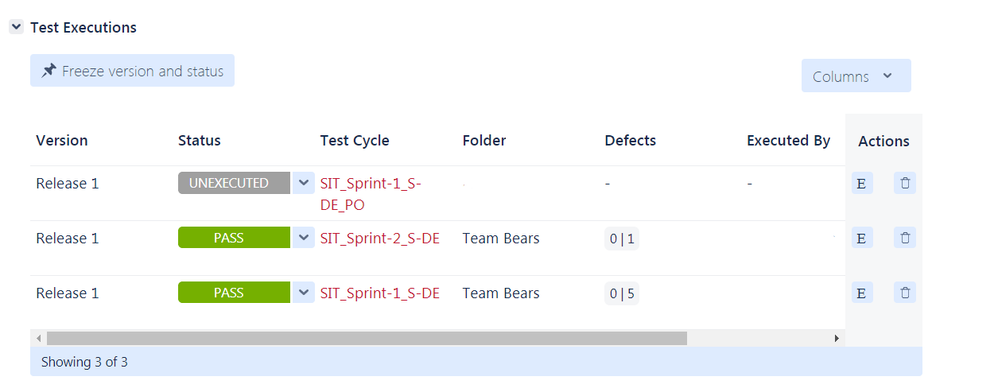 Screenshot Test Case Execution.PNG