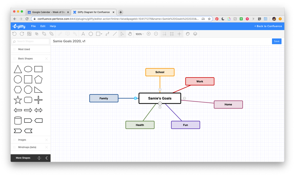 SamieGoalsMindMap_02.png